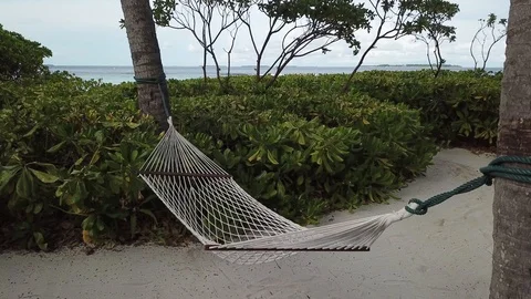 Hammock in the breeze 動画素材 97029060