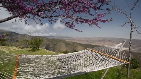 Hammock in the Breeze Stock Footage 102190892