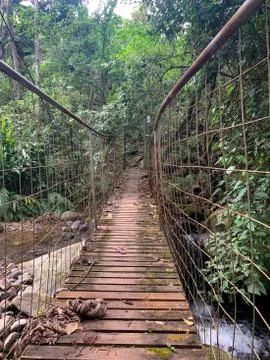 Hammock bridge in a tropical setting Foto stock