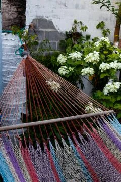 Hammock colors Stock Photos