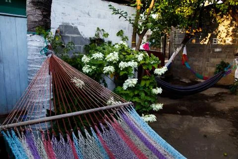 Hammock colors Stock Photos