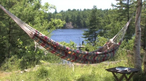 Hammock at the Cottage Stock Footage 788213