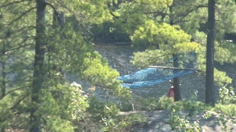 Hammock at the Cottage 動画素材 831591