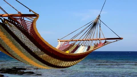 Hammock at the Cove 스톡 동영상 12137670