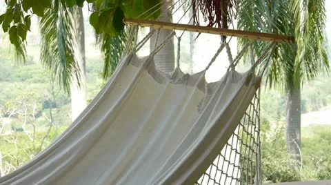 Hammock Stock Footage 21958459