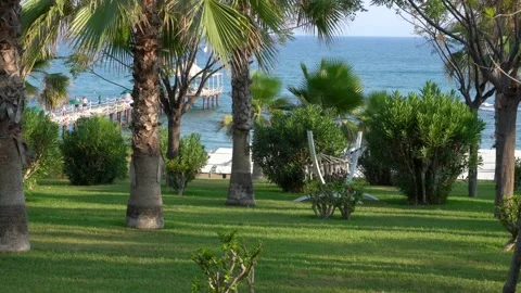 Hammock Stock Footage 157449104