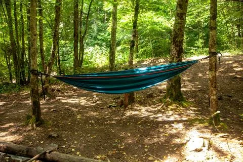 Hammock in the forest between the trees Stock Photos