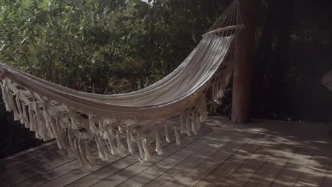 A hammock in the forest between the trees swings slow motion Stock Footage 286094867