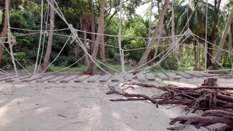 Hammock in forest changes to rope bridge in nature. built in wilderness, daytime Stock Footage 277534926