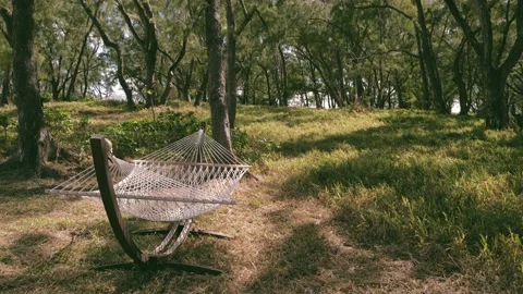 Hammock in the forest in Mauritius Stock Footage 219346598