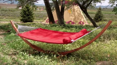 Hammock in the Forrest Stock Footage 48569435