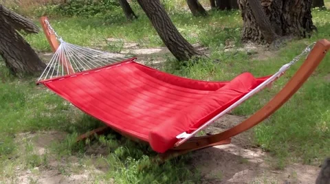 Hammock in the Forrest Stock Footage 48569441