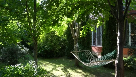 Hammock in garden between trees against backdrop of evergreens. Soccer ball. Video stock 136291256