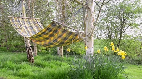 Hammock in garden in spring Stock Footage 49491852