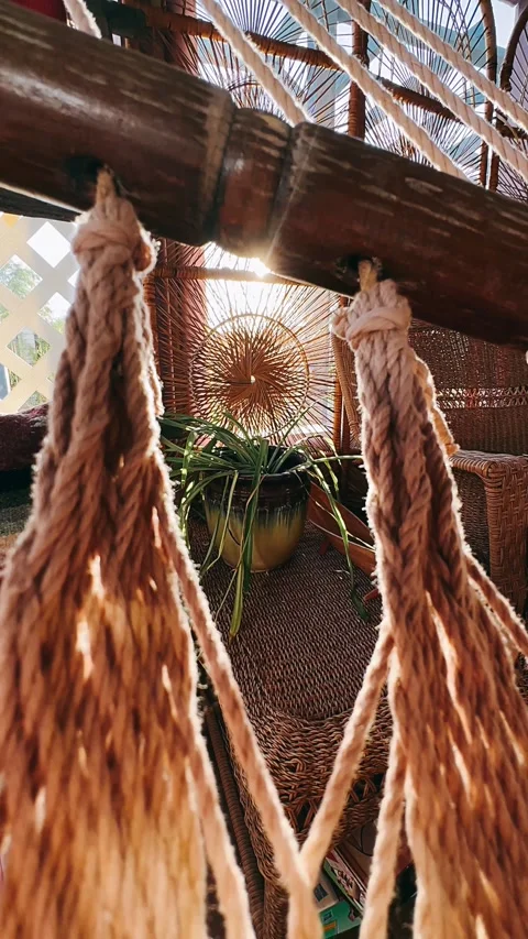 Hammock, golden hour, tree, nature, forest, sky, branch, Stock Footage 252153548