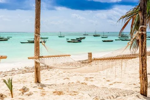 Hammock Hanging Among Palms Stock Photos