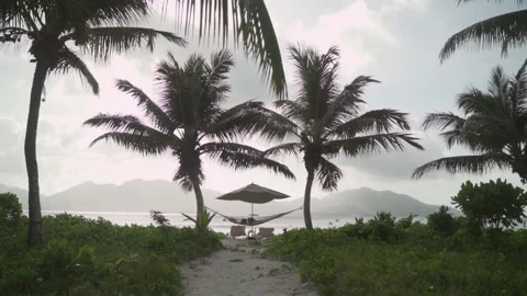 Hammock hanging between coconut palm trees in tropical island during vacation Stock Footage 192925410