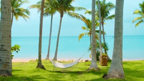 Hammock hanging between palm trees on tropical beach with turquoise sea and Stock Footage 312813893