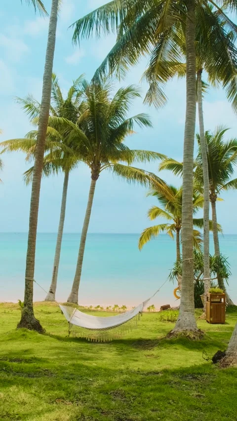 Hammock hanging between palm trees on tropical beach with turquoise sea and 스톡 동영상 322070694