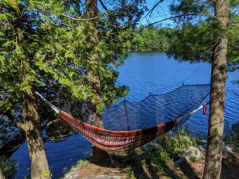 Hammock hanging between trees overlooking a calm lake on a sunny summer day Stock-Fotos
