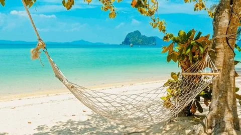 Hammock hanging between trees on tropical beach with turquoise water Stock Photos