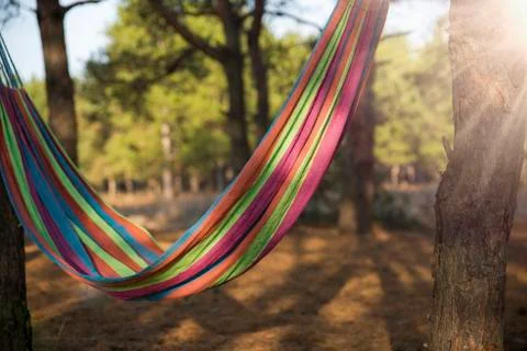 Hammock hanging between two trees Stock Photos