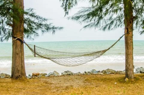 Hammock hanging on tree on beach Stock Photos