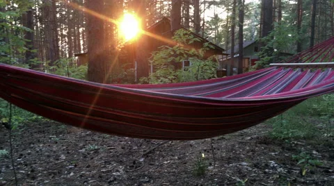 Hammock hanging on a tree at sunset Stock Footage 66378097