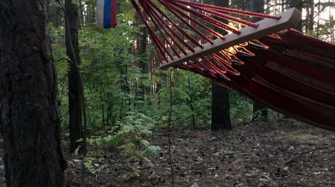 Hammock hanging on a tree at sunset Stock Footage 66378748