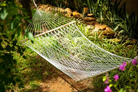 Hammock hanging with trees Stock-Fotos