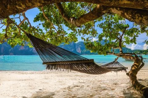 Hammock hanging under exotic tree on beach Stock Photos