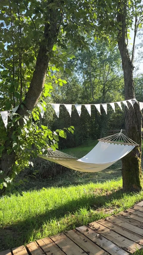 Hammock by lush greenery in summer in sunlight Stock Footage 316827874
