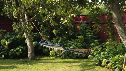 Hammock net between two apples. Hammock between the trees Stock Footage 100641407