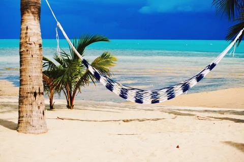 Hammock on the palm tree on the beach Foto stock
