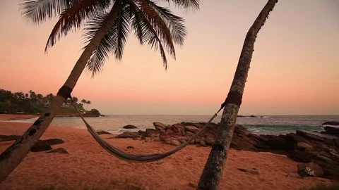 Hammock on a palm tree at sunset Stock Footage 73564078