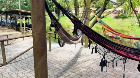 Hammock in the park Stock Footage 321471503
