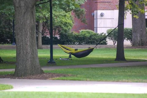 Hammock in the park Stock Photos