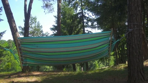 Hammock at the Park in a Windy Day Stock Footage 77410651