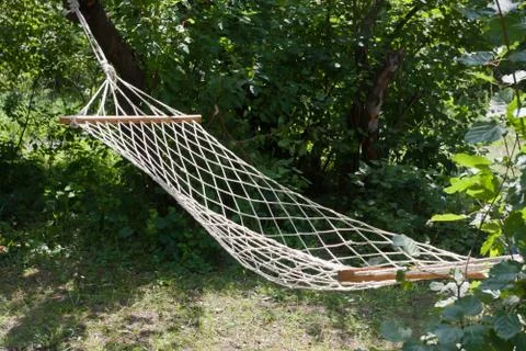 Hammock Stock Photos