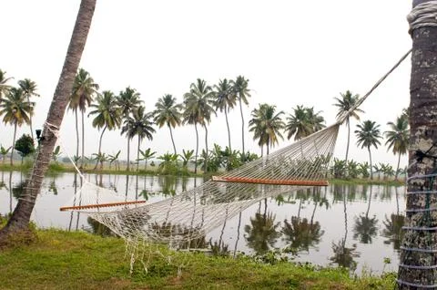 Hammock Foto stock