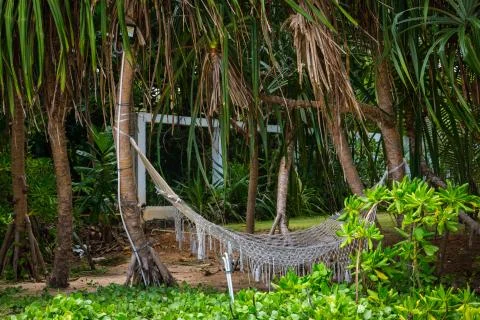 Hammock 库存照片