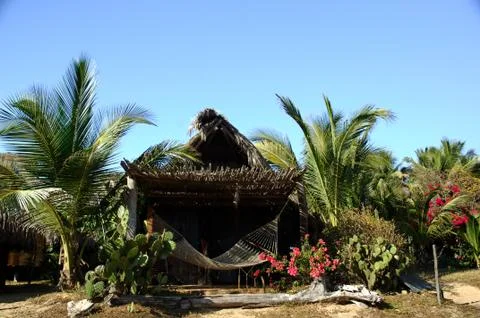 Hammock Stock Photos