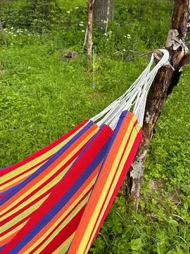 Hammock Stock Photos