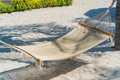 Hammock. Foto stock