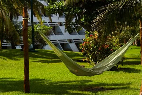 Hammock Stock Photos
