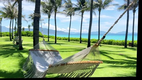 A hammock on a quiet resort beach Stock Footage 310675841