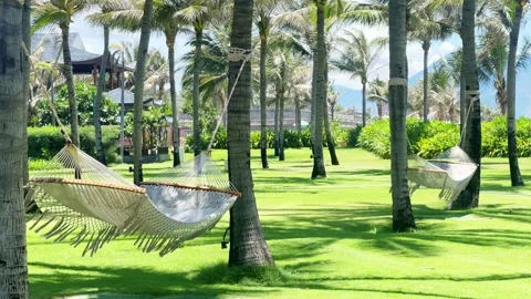 A hammock on a quiet resort beach Stock-Footage 310675988