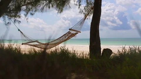 Hammock with sea view Stock Footage 148553574