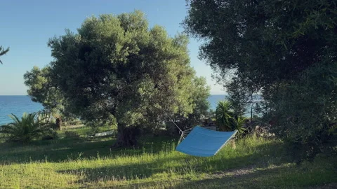 Hammock seaside tree breeze Stockbeeldmateriaal 155347661