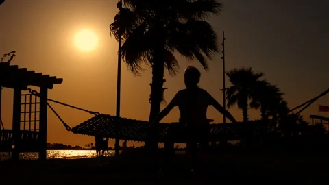 Hammock silhouette among trees Stock Footage 296126458
